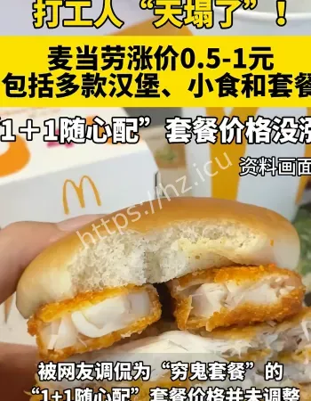 麦当劳涨价
